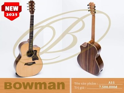 Đàn Guitar Bowman Acoustic A11 (2025)
