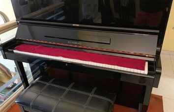 Đàn Piano WEINBURG WE108P