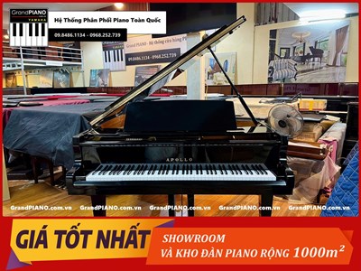 Đàn Piano cơ APOLLO A25  [ CẬP NHẬT ]