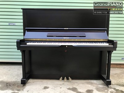 Đàn piano cơ ROYALE DW-7A - màu đen bóng mờ sang trọng