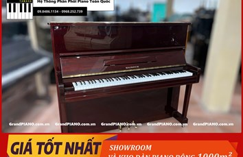 Đàn Piano cơ BAROCK DX.100 44271