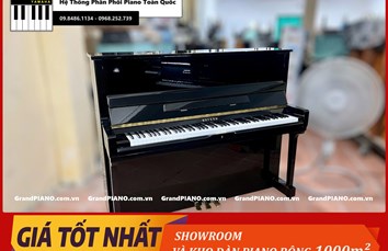 Đàn Piano cơ BAYERN E302 182490