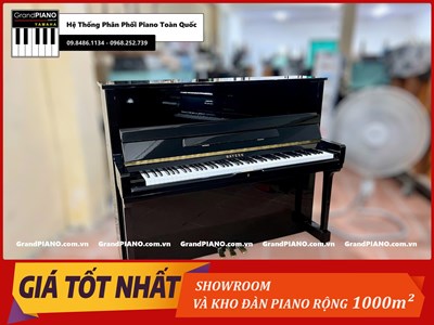 Đàn Piano cơ BAYERN E302 182490