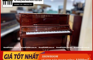 Đàn Piano cơ BEHNING DX1W 18021701
