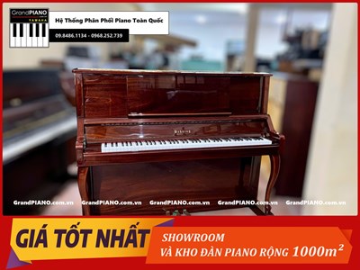 Đàn Piano cơ BEHNING DX1W 18021701