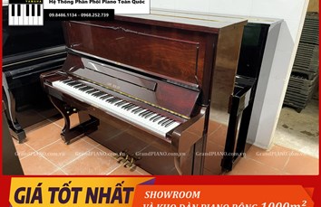 Đàn Piano cơ CARLSEILER 133D [ CẬP NHẬT ]