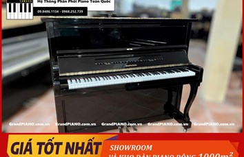 Đàn Piano cơ DIAPASON No.125-E 38851