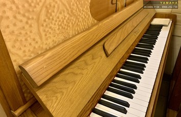 Đàn Piano cơ OTTOSTEIN