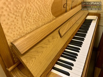 Đàn Piano cơ OTTOSTEIN