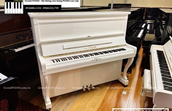 Đàn Piano cơ EARLWINDSOR W115