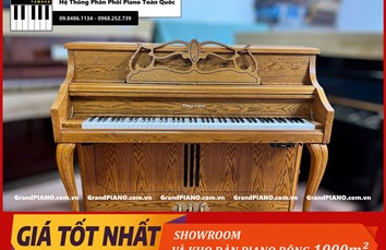 Đàn Piano cơ ELISEN&SONS J110C GT2A付 210623