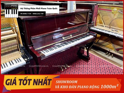 Đàn Piano cơ FRIEDRICH F102 [ CẬP NHẬT ]