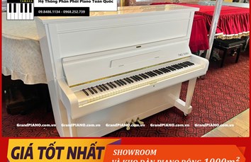 Đàn Piano cơ FRITZKUHLA No30 47638