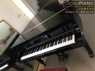YAMAHA G3 E5211484