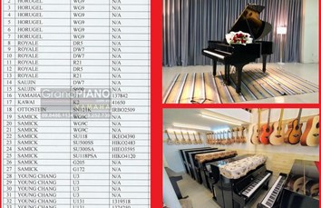 [ TỔNG HỢP CONTAINER ĐÀN #PIANO SẮP VỀ ]