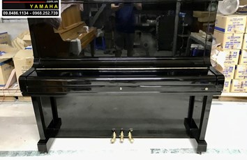   Đàn Piano cơ HORUGEL WG9