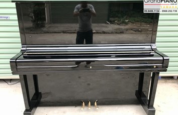 Đàn piano Piano Horugel WG9B cao cấp