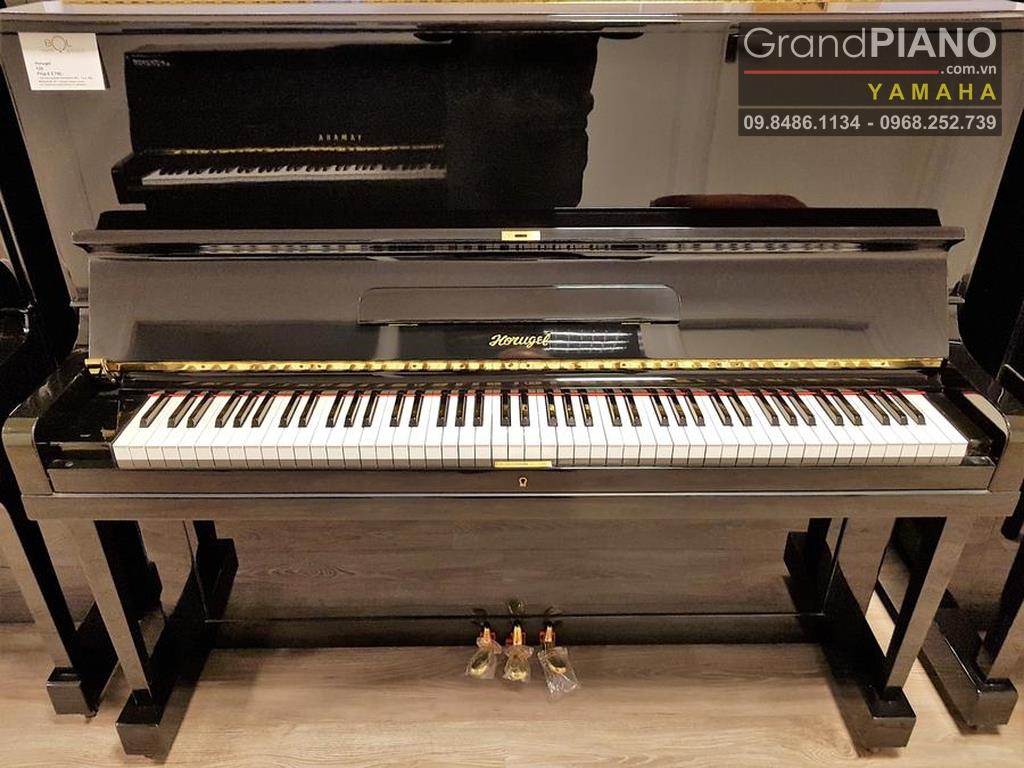Đàn Piano HORUGEL WG9B