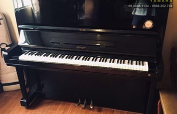 Đàn Piano HORUGEL WG9Bxxxx