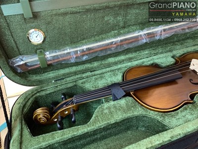 Violin V330