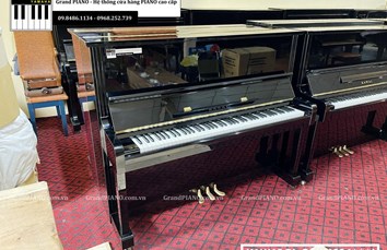 Đàn Piano cơ KAWAI BL31 (M604***)