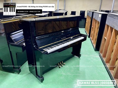 Đàn Piano cơ KAWAI BL51 (665648)