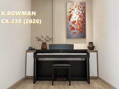 BOWMAN CX-230 BK (2026)