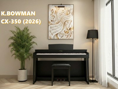 BOWMAN CX-350 BK (2026)