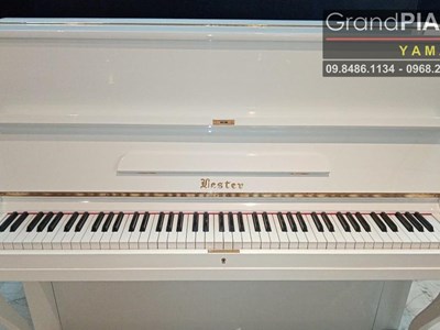 Đàn Piano LESTER L2