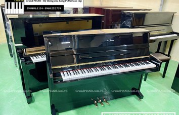 Đàn Piano cơ L・MEISTER 110 (540921227)