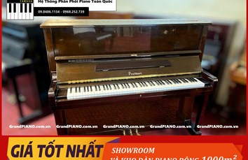 Đàn Piano cơ PRUTHNER P2 49737