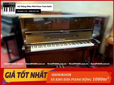 Đàn Piano cơ PRUTHNER P2 49737