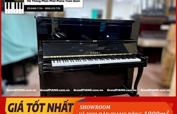 Đàn Piano cơ RINBEL RU300 5020967
