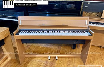 Đàn Piano điện ROLAND DP900