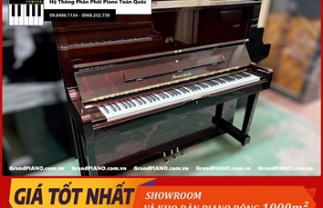 Đàn Piano cơ ROSENSTEIN VR2 [ CẬP NHẬT ]