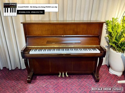 Đàn Piano cơ ROYALEDR5W