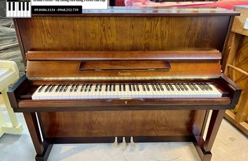 Đàn Piano cơ SAUJIN DW5 