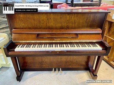 Đàn Piano cơ SAUJIN DW5 