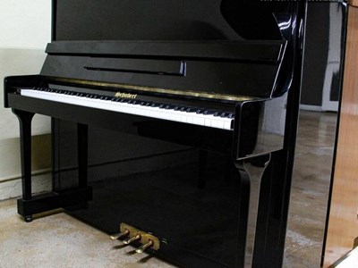 Đàn Piano SCHUBERT DU121