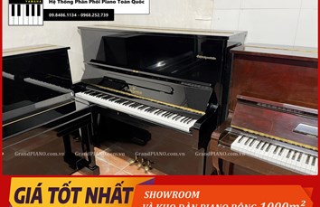 Đàn Piano cơ SCHWEITZERSTEIN HU200 [ CẬP NHẬT ]