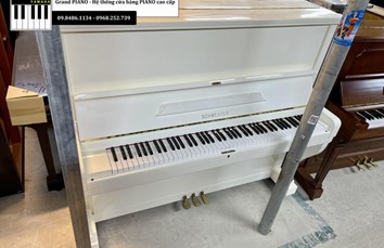 Đàn Piano cơ SCHWESTER NO51
