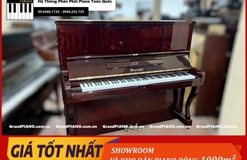 Đàn Piano cơ SHURAGEL SU8 11695