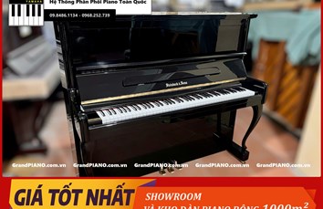 Đàn Piano cơ STEINBACH&SONS SX1B 890636
