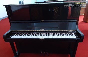 Đàn Piano HORUGEL WG9Bx
