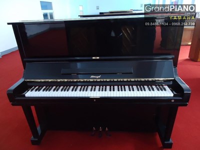 Đàn Piano HORUGEL WG9Bx