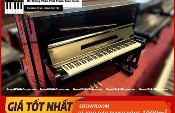 Đàn Piano cơ TOYO BALLINDAM B-12 183071