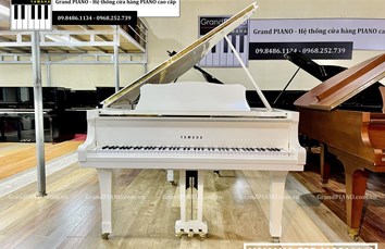 Đàn Piano Grand YAMAHA C3B (4661***)