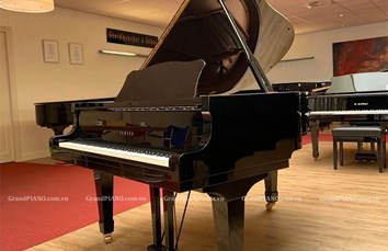 Đàn Piano Grand YAMAHA C3L