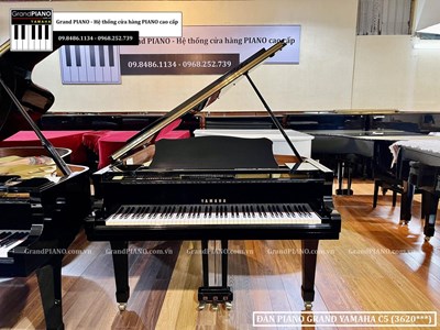 Đàn Piano Grand YAMAHA C5 (3620***)