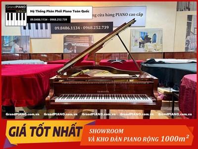 Đàn Piano cơ YAMAHA C5A [ CẬP NHẬT ]